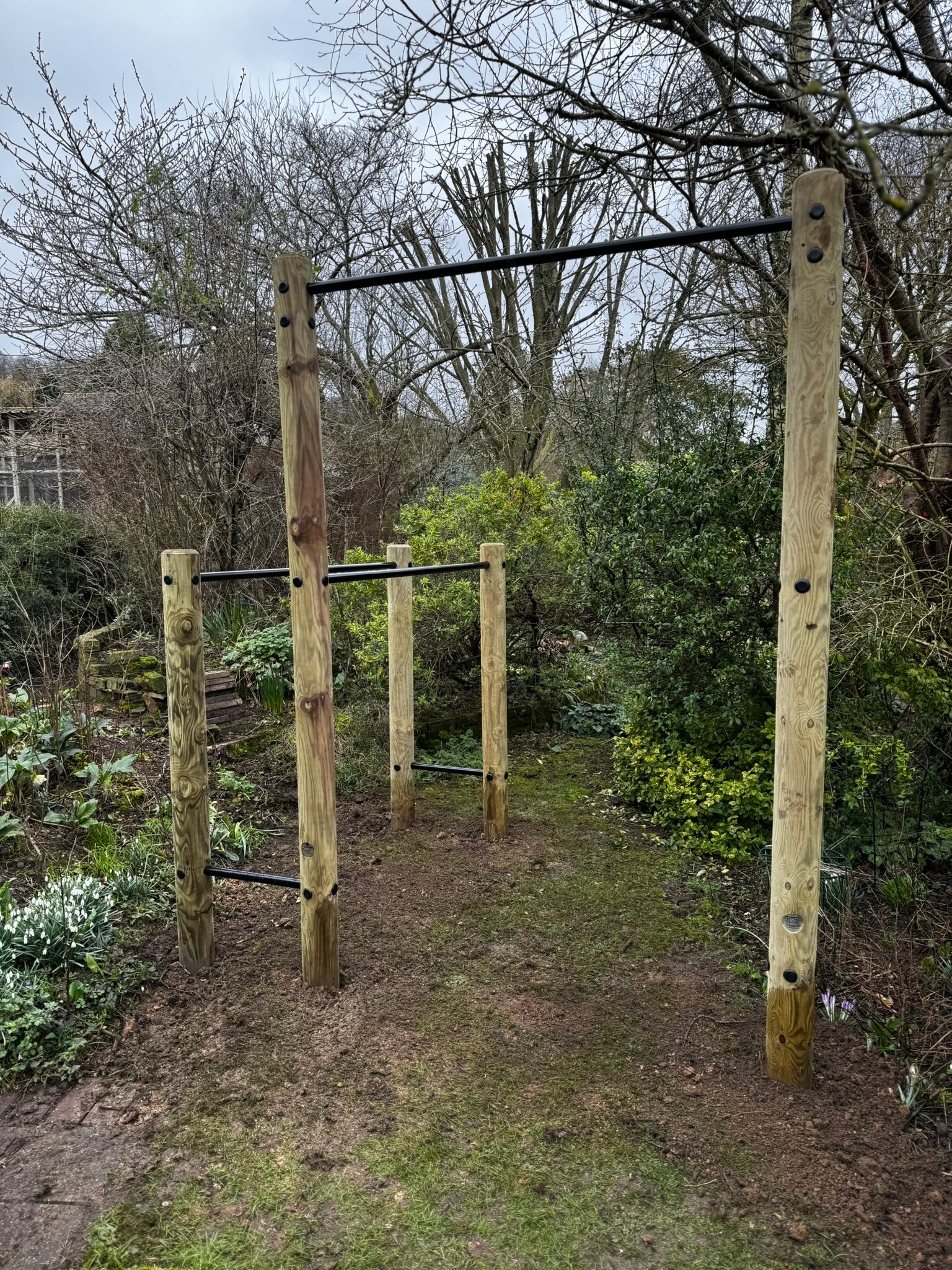 Contemporary Pro Single Pull‑Up Bar & Dip Station - warriorgarden