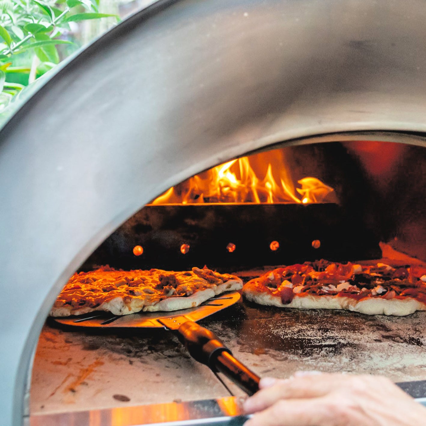 Igneus Pro 750 Wood Fired Pizza Oven - warriorgarden