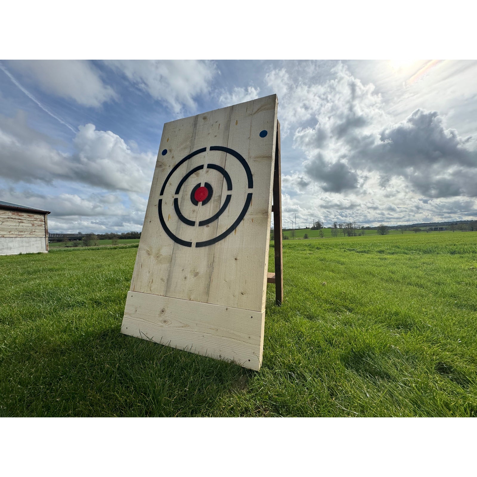 Single Bullseye Target Board - warriorgarden