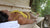 The Baltic Sauna, Full Panoramic, 2.4 metre - warriorgarden