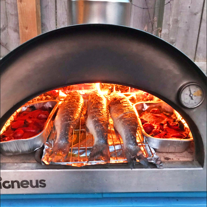 Igneus Classico Wood Fired Pizza Oven - warriorgarden