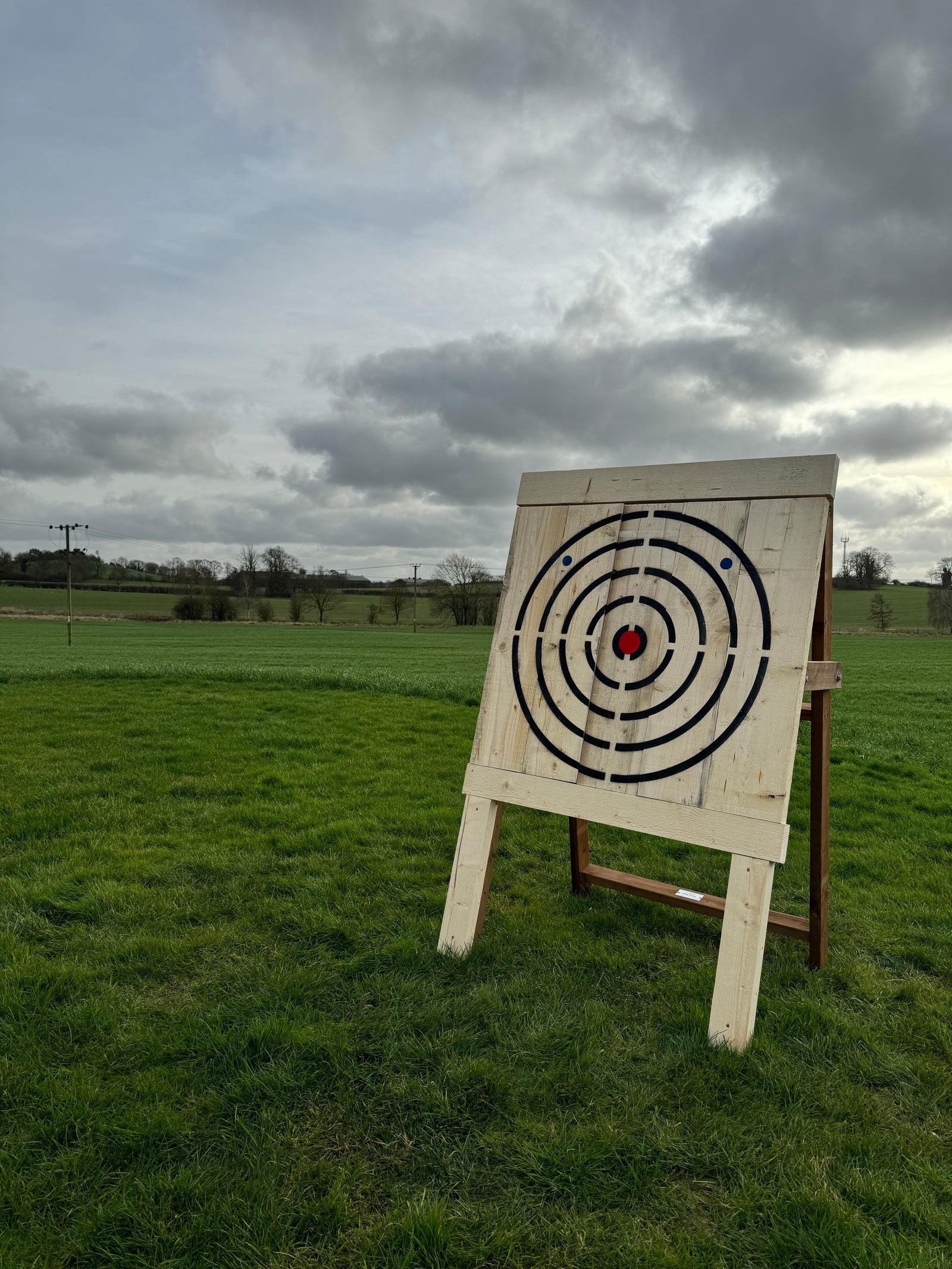 Single Bullseye Target Board - warriorgarden